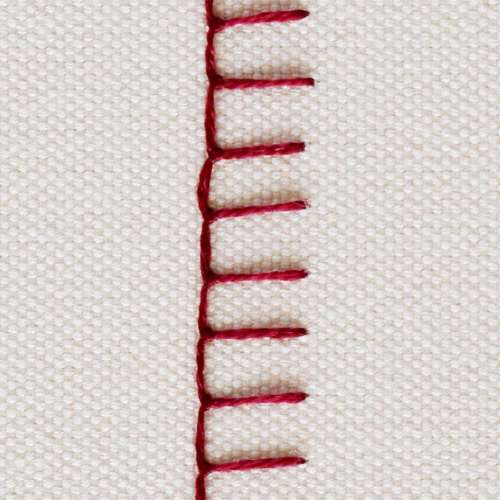 Buttonhole Stitch