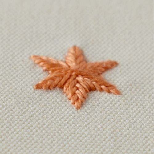 Woven Star Stitch
