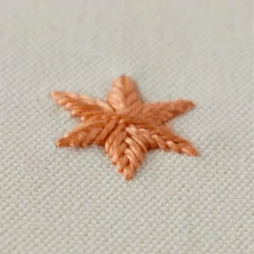 Woven Star Stitch