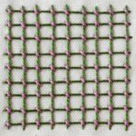 Embroidery stitch: Jacobean Couching