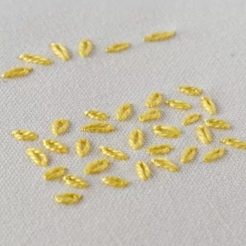 Detached Chain Stitch