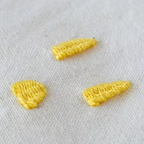 Woven Trellis Stitch