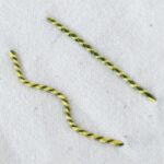 Embroidery stitch: Whipped Stem Stitch